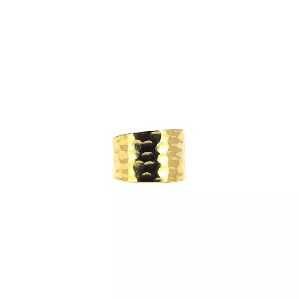 Bague * Pégase